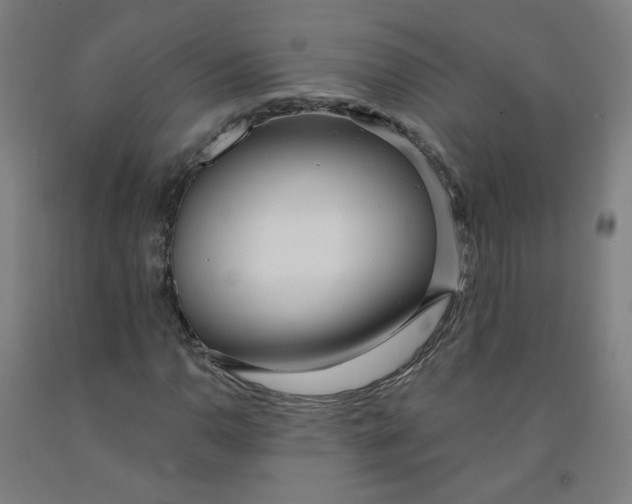 X0000091971110200709271402