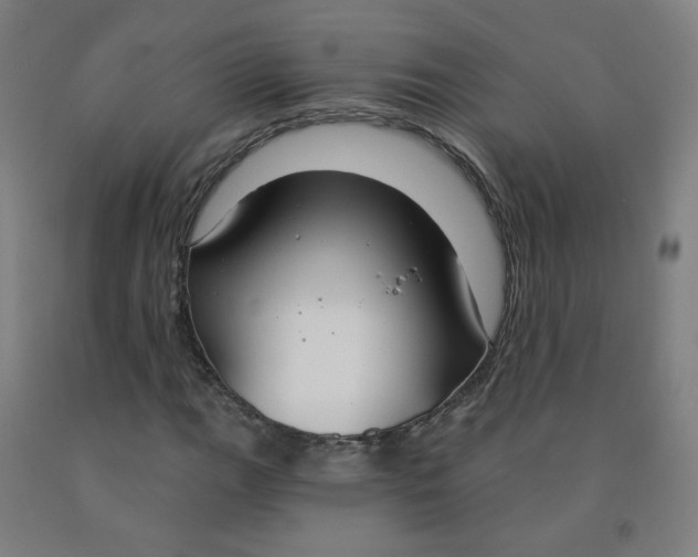 X0000091971111200709271402