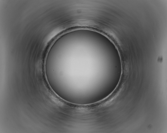 X0000091971114200709271402
