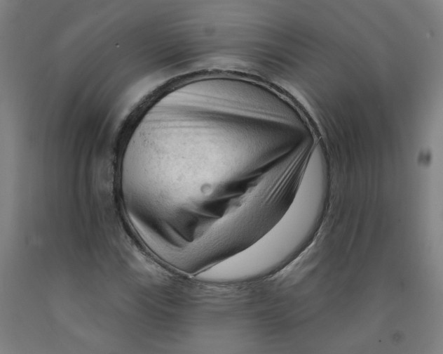 X0000091971115200709271402
