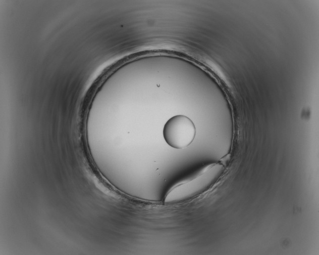 X0000091971116200709271402