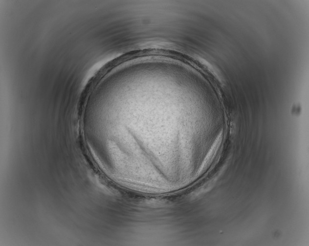 X0000091971117200709271402