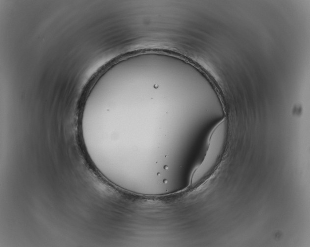 X0000091971119200709271402
