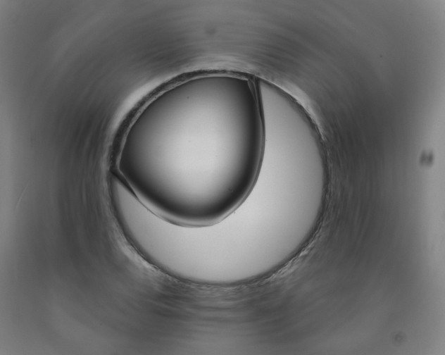 X0000091971120200709271402