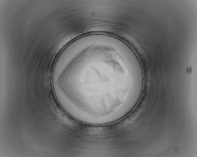 X0000091971121200709271402