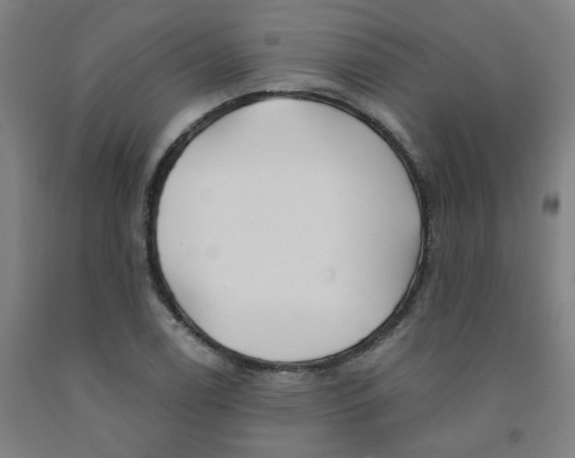 X0000091971122200709271402