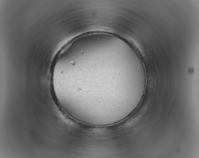 X0000091971125200709271402