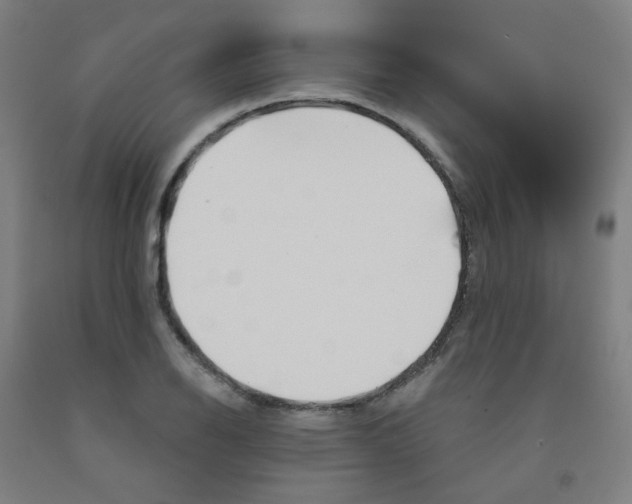 X0000091971126200709271402