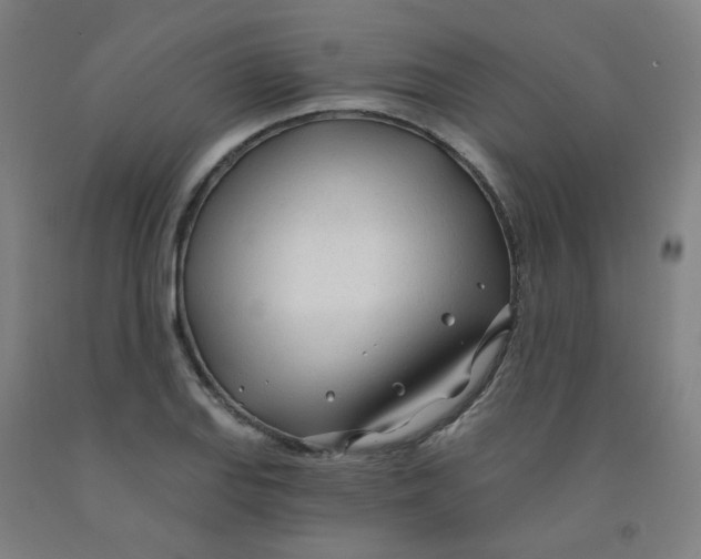 X0000091971127200709271402