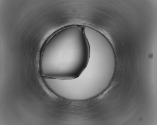 X0000091971128200709271402