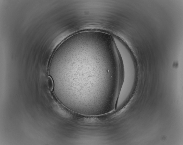 X0000091971129200709271402