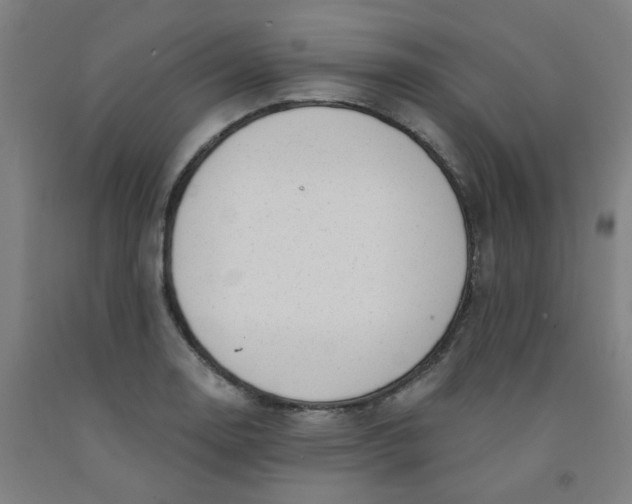 X0000091971130200709271402