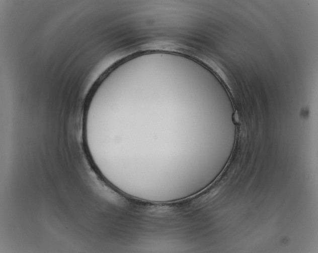 X0000091971131200709271402