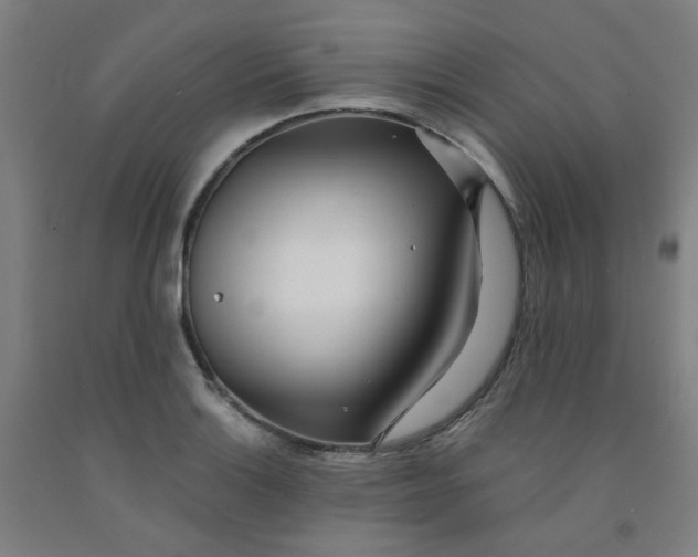 X0000091971132200709271402