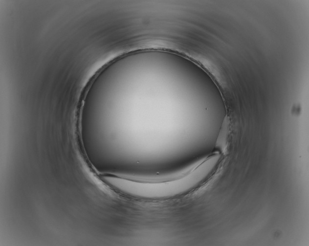 X0000091971134200709271402