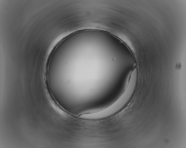 X0000091971136200709271402