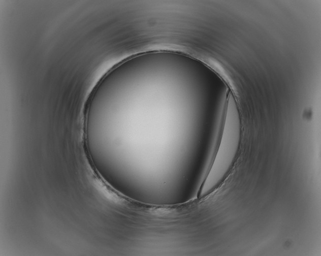 X0000091971140200709271402