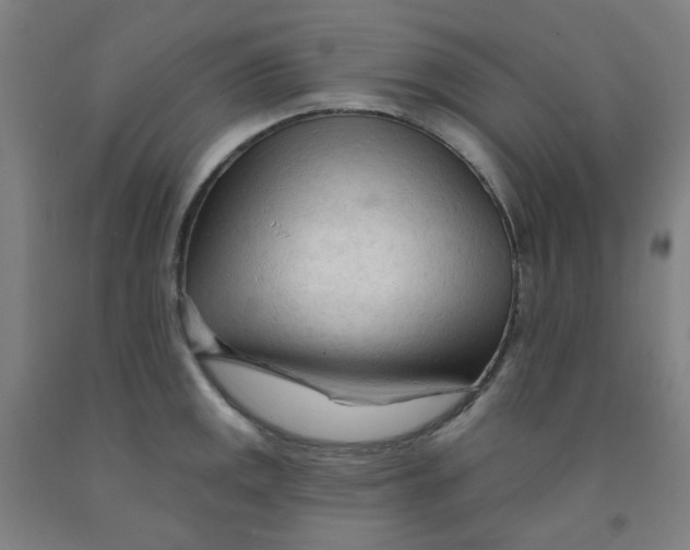 X0000091971141200709271402