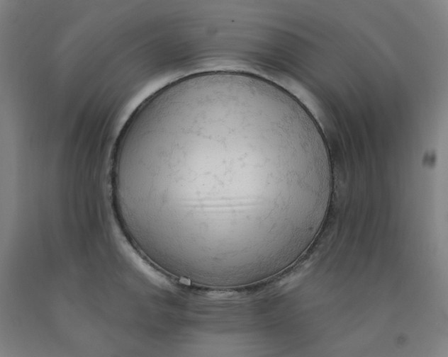 X0000091971142200709271402