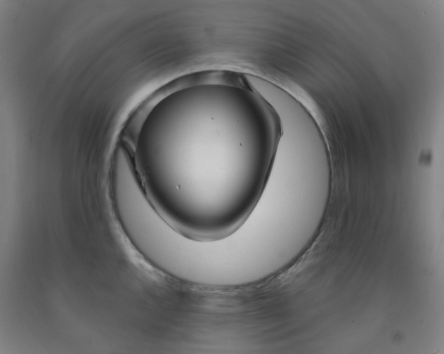 X0000091971144200709271402