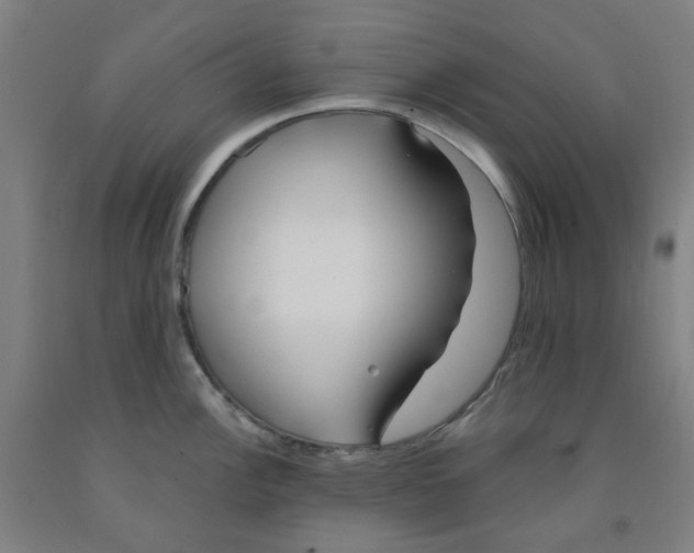 X0000091971148200709271402