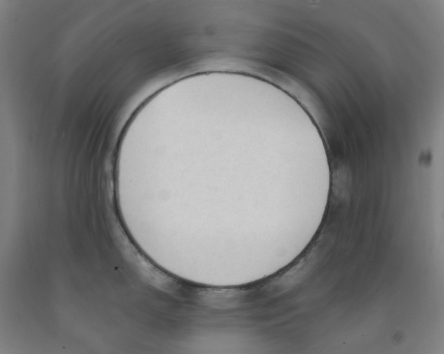 X0000091971150200709271402