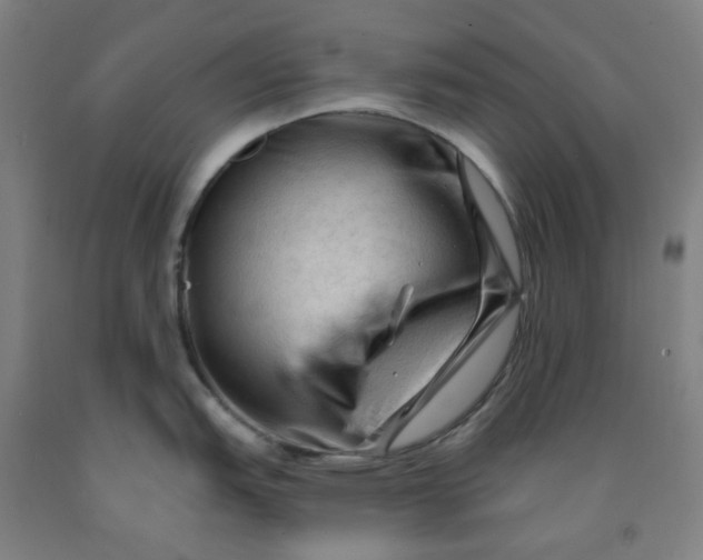 X0000091971151200709271402