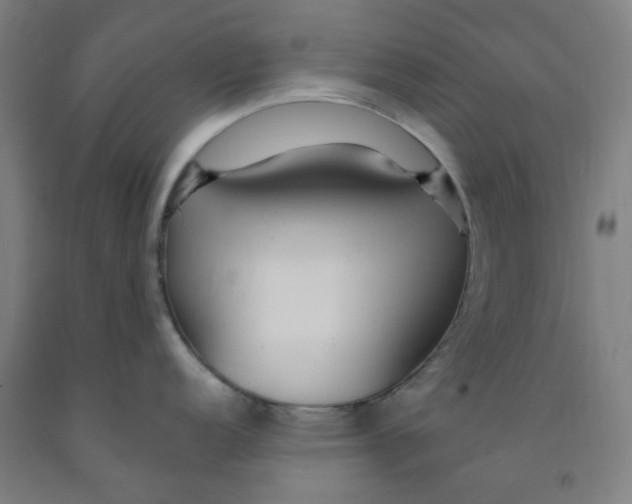X0000091971152200709271402