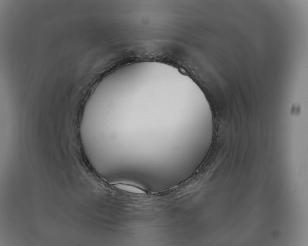 X0000091971153200709271401
