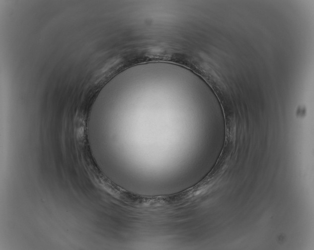 X0000091971154200709271401