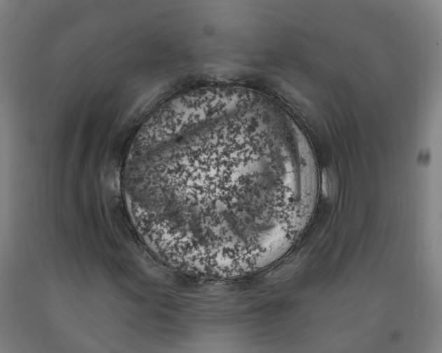X0000091971155200709271401