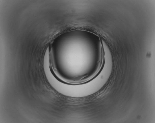 X0000091971156200709271401