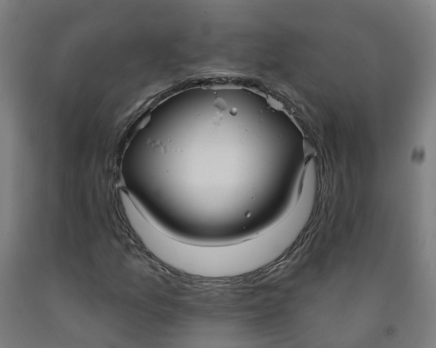 X0000091971157200709271401