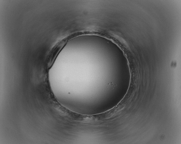 X0000091971160200709271401