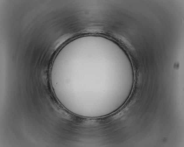 X0000091971162200709271401