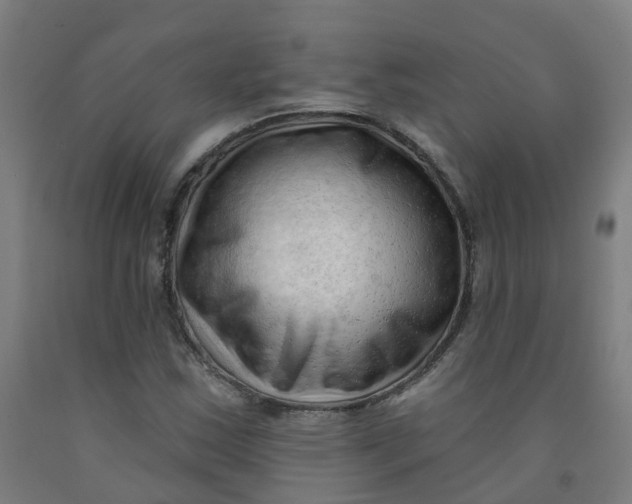 X0000091971163200709271401