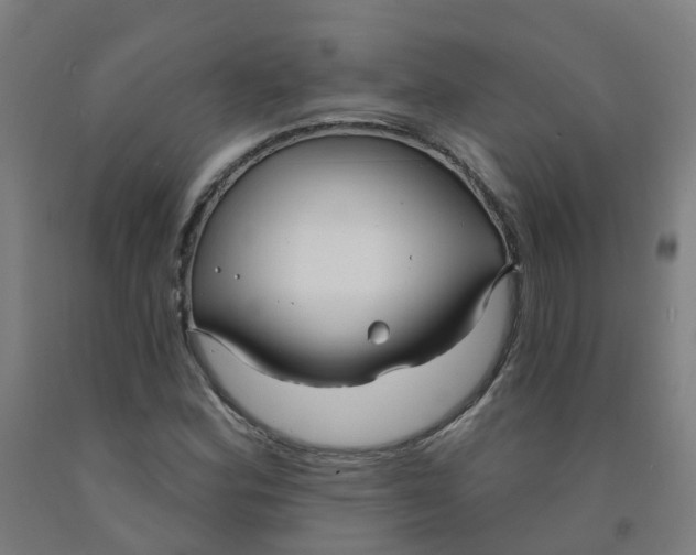 X0000091971164200709271401