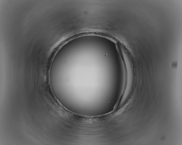 X0000091971165200709271401