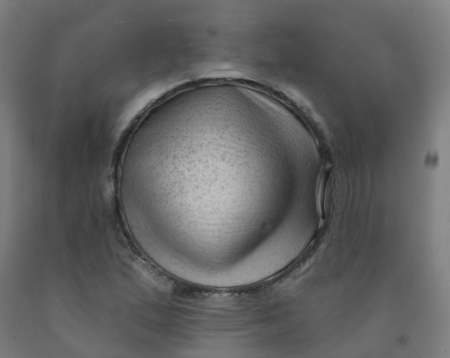 X0000091971167200709271401