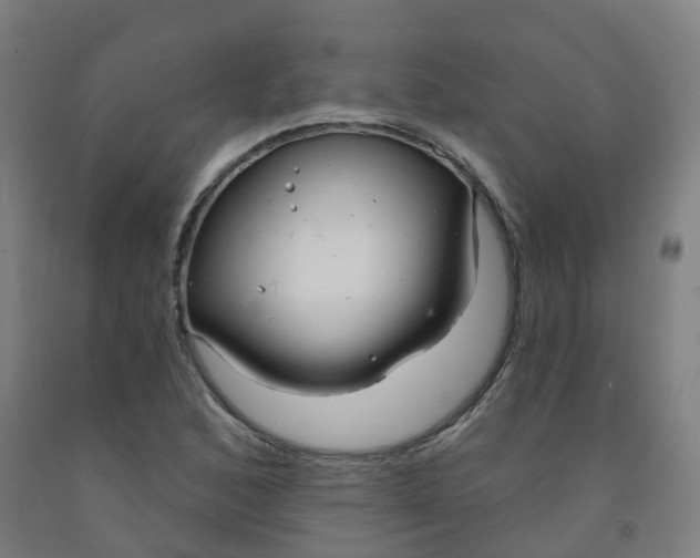X0000091971168200709271401