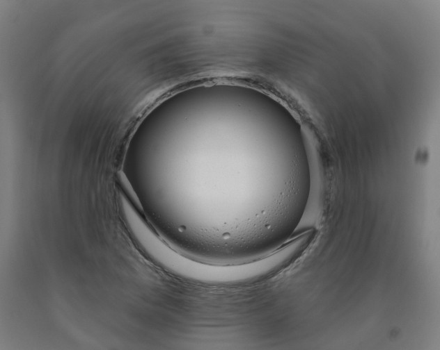 X0000091971169200709271401