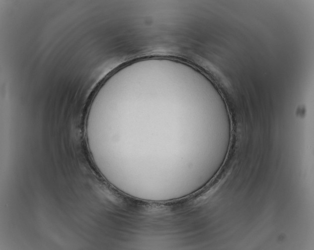 X0000091971170200709271401