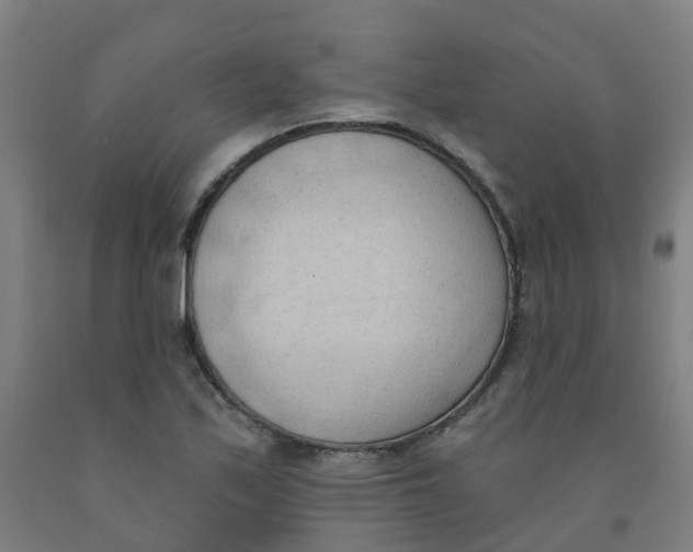 X0000091971171200709271401