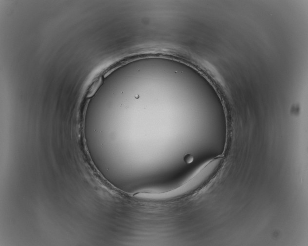 X0000091971172200709271401