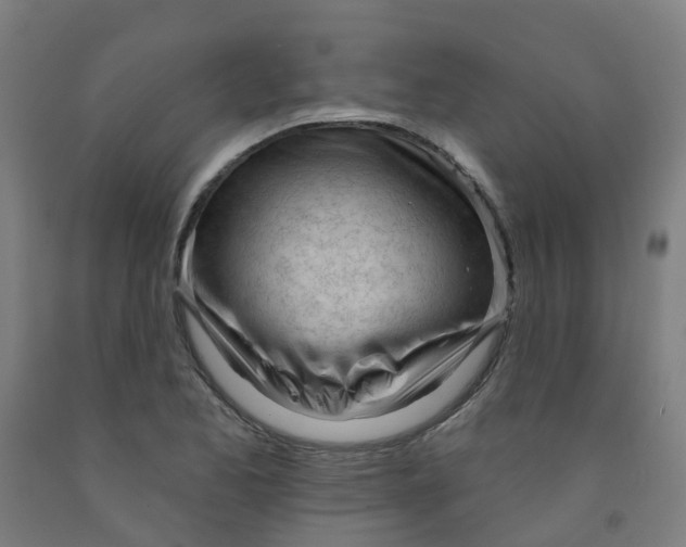 X0000091971173200709271401