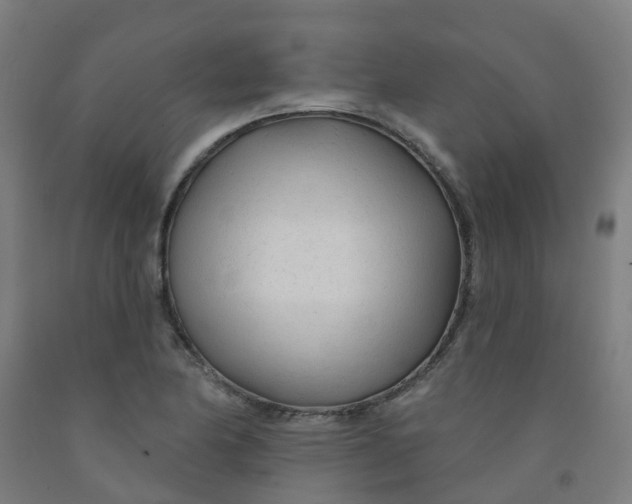 X0000091971174200709271401