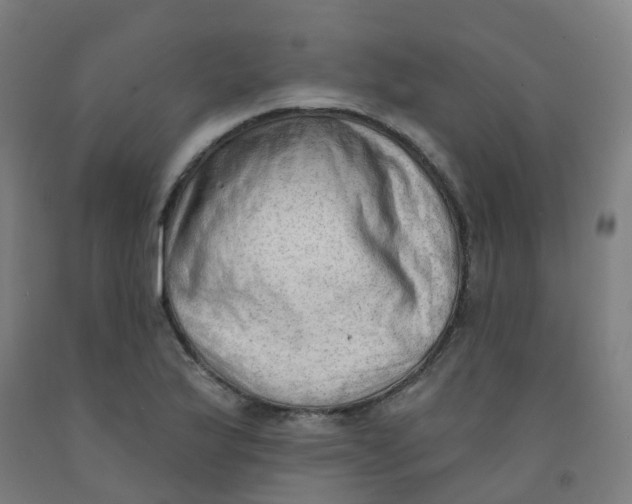 X0000091971175200709271401