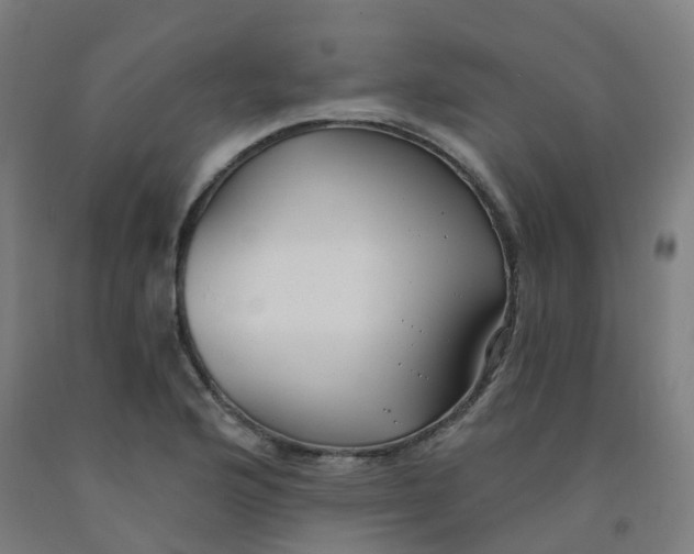 X0000091971176200709271401