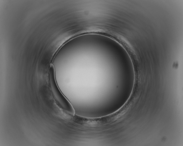 X0000091971177200709271401