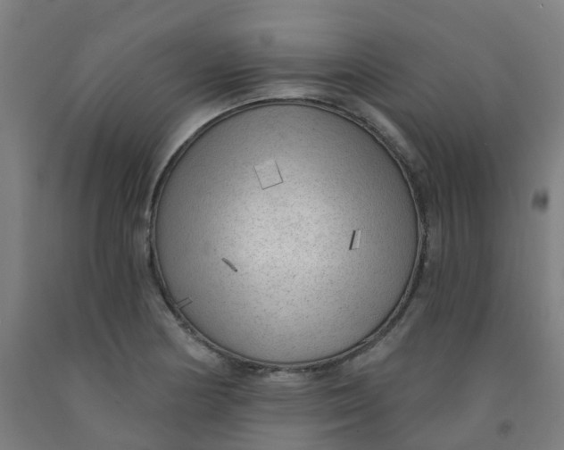 X0000091971178200709271401